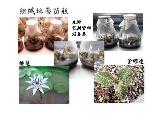 譱